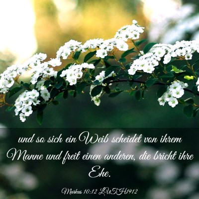 Picture 03 - Markus 10:12 LUTH1912 - und so sich ein Weib scheidet von ihrem Manne und - Bible Verse Picture