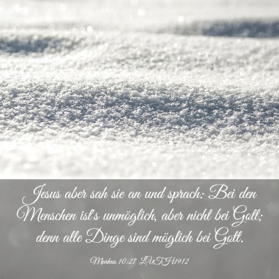 Picture 03 - Markus 10:27 LUTH1912 - Jesus aber sah sie an und sprach: Bei den - Bible Verse Picture
