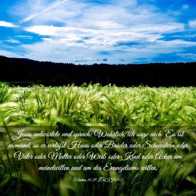 Picture 03 - Markus 10:29 LUTH1912 - Jesus antwortete und sprach: Wahrlich, ich sage - Bible Verse Picture