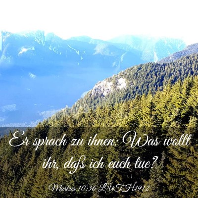 Picture 03 - Markus 10:36 LUTH1912 - Er sprach zu ihnen: Was wollt ihr, daß ich euch - Bible Verse Picture