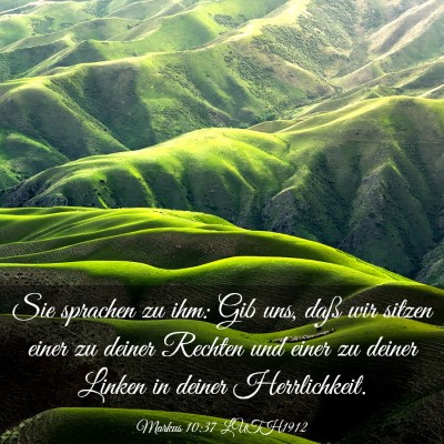 Picture 03 - Markus 10:37 LUTH1912 - Sie sprachen zu ihm: Gib uns, daß wir sitzen - Bible Verse Picture