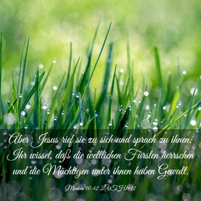 Picture 03 - Markus 10:42 LUTH1912 - Aber Jesus rief sie zu sich und sprach zu ihnen: - Bible Verse Picture