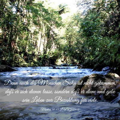 Picture 03 - Markus 10:45 LUTH1912 - Denn auch des Menschen Sohn ist nicht gekommen, - Bible Verse Picture