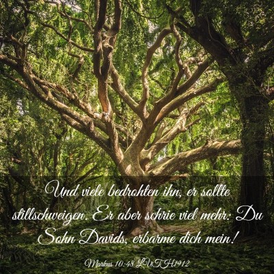 Picture 03 - Markus 10:48 LUTH1912 - Und viele bedrohten ihn, er sollte - Bible Verse Picture