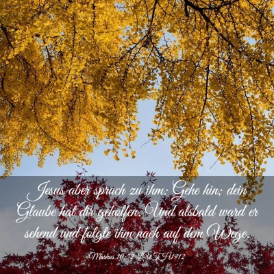 Picture 03 - Markus 10:52 LUTH1912 - Jesus aber sprach zu ihm: Gehe hin; dein Glaube - Bible Verse Picture