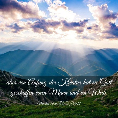 Picture 03 - Markus 10:6 LUTH1912 - aber von Anfang der Kreatur hat sie Gott - Bible Verse Picture