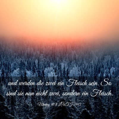 Picture 03 - Markus 10:8 LUTH1912 - und werden die zwei ein Fleisch sein. So sind sie - Bible Verse Picture