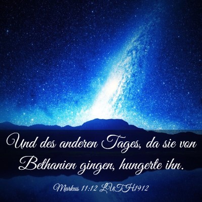 Picture 03 - Markus 11:12 LUTH1912 - Und des anderen Tages, da sie von Bethanien - Bible Verse Picture
