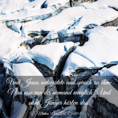 Picture 03 - Markus 11:14 LUTH1912 - Und Jesus antwortete und sprach zu ihm: Nun esse - Bible Verse Picture