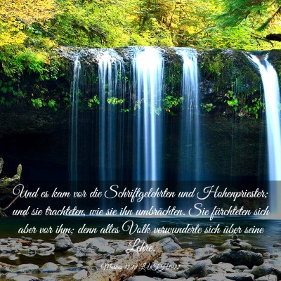 Picture 03 - Markus 11:18 LUTH1912 - Und es kam vor die Schriftgelehrten und - Bible Verse Picture