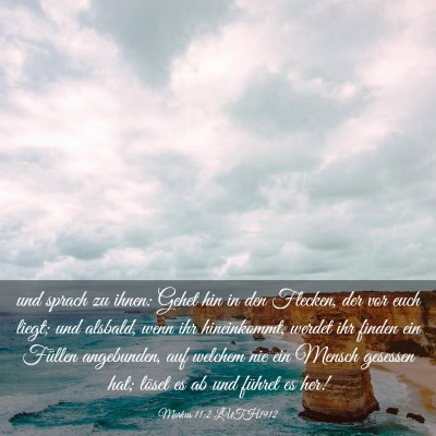 Picture 03 - Markus 11:2 LUTH1912 - und sprach zu ihnen: Gehet hin in den Flecken, - Bible Verse Picture