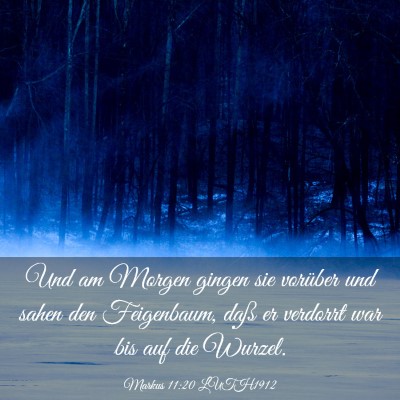 Picture 03 - Markus 11:20 LUTH1912 - Und am Morgen gingen sie vorüber und sahen den - Bible Verse Picture