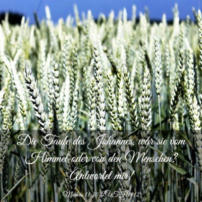 Picture 03 - Markus 11:30 LUTH1912 - Die Taufe des Johannes, war sie vom Himmel oder - Bible Verse Picture