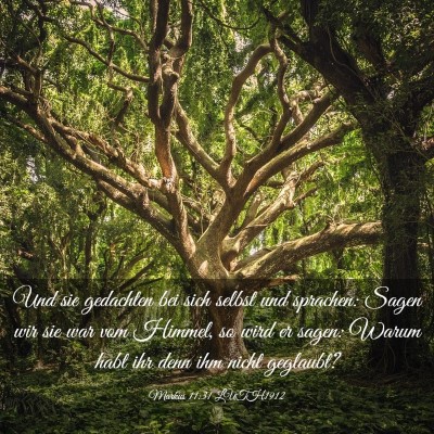 Picture 03 - Markus 11:31 LUTH1912 - Und sie gedachten bei sich selbst und sprachen: - Bible Verse Picture