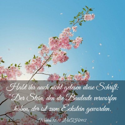 Picture 03 - Markus 12:10 LUTH1912 - Habt ihr auch nicht gelesen diese Schrift: “Der - Bible Verse Picture