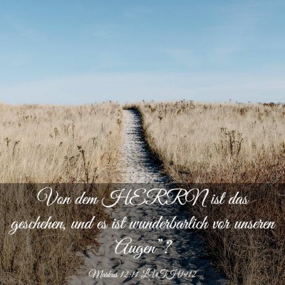 Picture 03 - Markus 12:11 LUTH1912 - Von dem HERRN ist das geschehen, und es ist - Bible Verse Picture