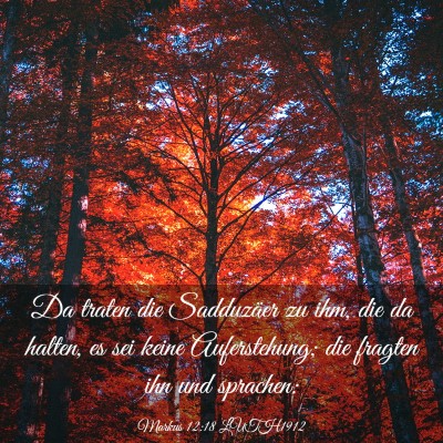 Picture 03 - Markus 12:18 LUTH1912 - Da traten die Sadduzäer zu ihm, die da halten, - Bible Verse Picture