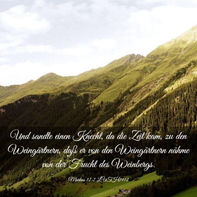 Picture 03 - Markus 12:2 LUTH1912 - Und sandte einen Knecht, da die Zeit kam, zu den - Bible Verse Picture