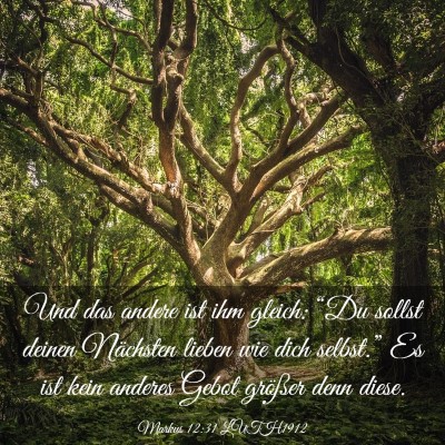 Picture 03 - Markus 12:31 LUTH1912 - Und das andere ist ihm gleich: “Du sollst - Bible Verse Picture