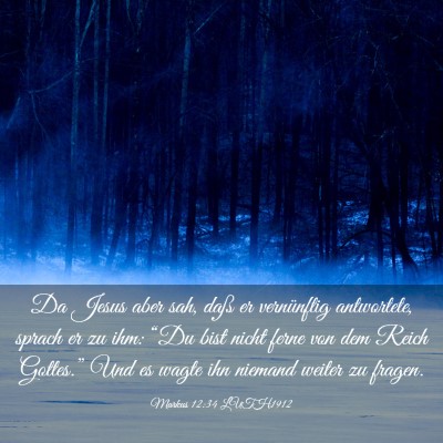 Picture 03 - Markus 12:34 LUTH1912 - Da Jesus aber sah, daß er vernünftig - Bible Verse Picture