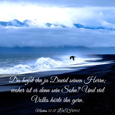Picture 03 - Markus 12:37 LUTH1912 - Da heißt ihn ja David seinen Herrn; woher ist er - Bible Verse Picture