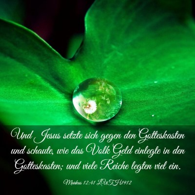 Picture 03 - Markus 12:41 LUTH1912 - Und Jesus setzte sich gegen den Gotteskasten und - Bible Verse Picture