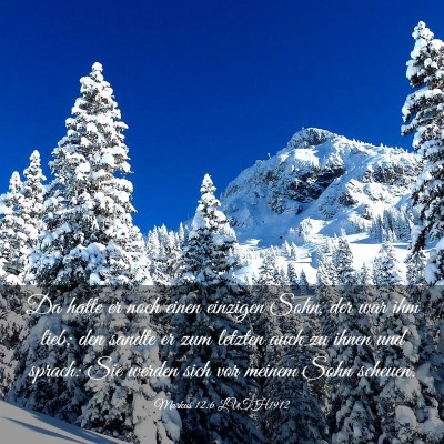 Picture 03 - Markus 12:6 LUTH1912 - Da hatte er noch einen einzigen Sohn, der war ihm - Bible Verse Picture