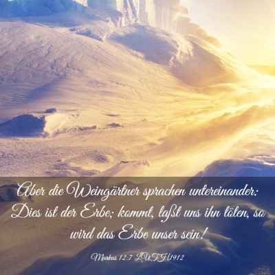 Picture 03 - Markus 12:7 LUTH1912 - Aber die Weingärtner sprachen untereinander: - Bible Verse Picture