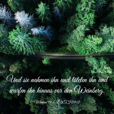 Picture 03 - Markus 12:8 LUTH1912 - Und sie nahmen ihn und töteten ihn und warfen - Bible Verse Picture
