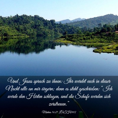 Picture 03 - Markus 14:27 LUTH1912 - Und Jesus sprach zu ihnen: Ihr werdet euch in - Bible Verse Picture