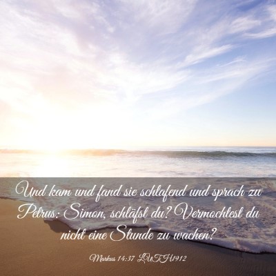 Picture 03 - Markus 14:37 LUTH1912 - Und kam und fand sie schlafend und sprach zu - Bible Verse Picture