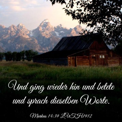 Picture 03 - Markus 14:39 LUTH1912 - Und ging wieder hin und betete und sprach - Bible Verse Picture