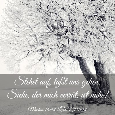 Picture 03 - Markus 14:42 LUTH1912 - Stehet auf, laßt uns gehen. Siehe, der mich - Bible Verse Picture