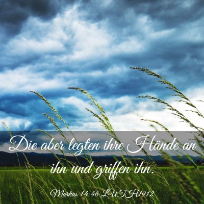 Picture 03 - Markus 14:46 LUTH1912 - Die aber legten ihre Hände an ihn und griffen - Bible Verse Picture