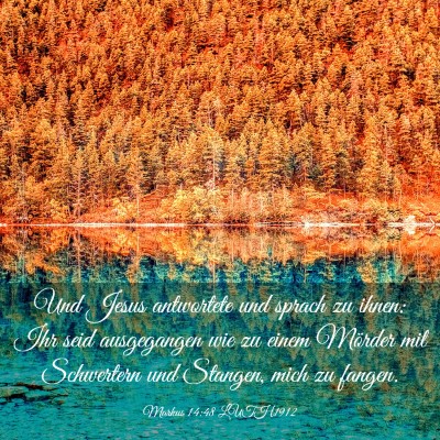 Picture 03 - Markus 14:48 LUTH1912 - Und Jesus antwortete und sprach zu ihnen: Ihr - Bible Verse Picture