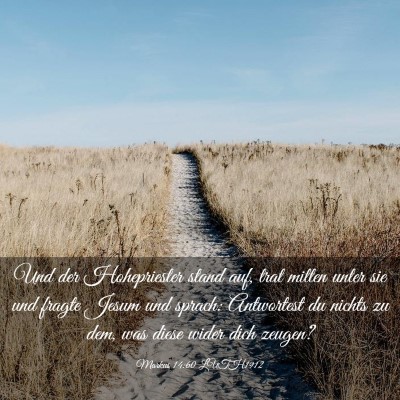 Picture 03 - Markus 14:60 LUTH1912 - Und der Hohepriester stand auf, trat mitten unter - Bible Verse Picture