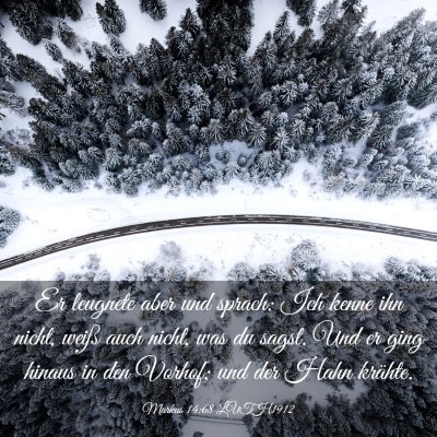 Picture 03 - Markus 14:68 LUTH1912 - Er leugnete aber und sprach: Ich kenne ihn nicht, - Bible Verse Picture