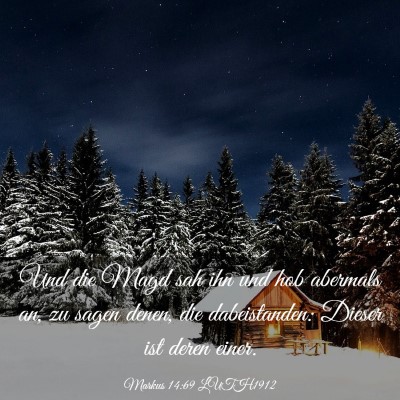 Picture 03 - Markus 14:69 LUTH1912 - Und die Magd sah ihn und hob abermals an, zu - Bible Verse Picture
