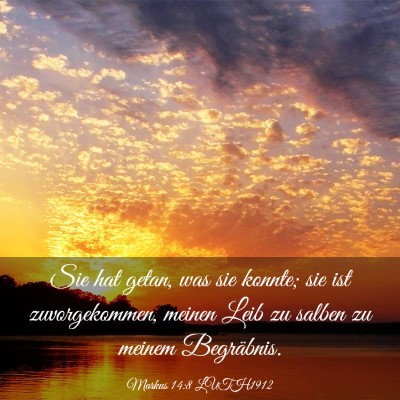 Picture 03 - Markus 14:8 LUTH1912 - Sie hat getan, was sie konnte; sie ist - Bible Verse Picture