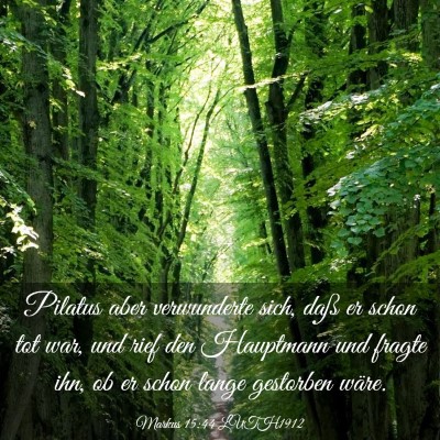 Picture 03 - Markus 15:44 LUTH1912 - Pilatus aber verwunderte sich, daß er schon tot - Bible Verse Picture