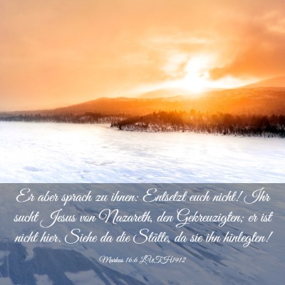 Picture 03 - Markus 16:6 LUTH1912 - Er aber sprach zu ihnen: Entsetzt euch nicht! Ihr - Bible Verse Picture