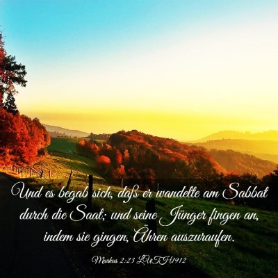 Picture 03 - Markus 2:23 LUTH1912 - Und es begab sich, daß er wandelte am Sabbat - Bible Verse Picture