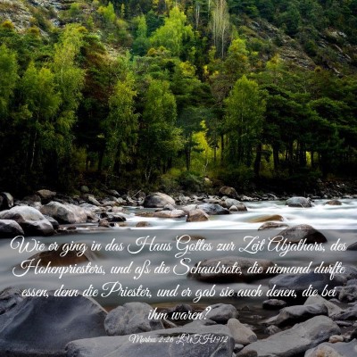 Picture 03 - Markus 2:26 LUTH1912 - Wie er ging in das Haus Gottes zur Zeit - Bible Verse Picture