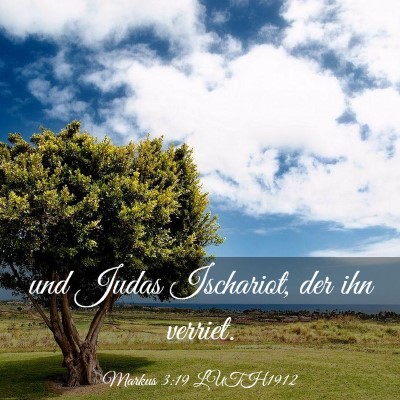 Picture 03 - Markus 3:19 LUTH1912 - und Judas Ischariot, der ihn - Bible Verse Picture