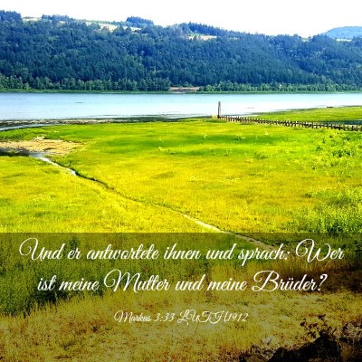 Picture 03 - Markus 3:33 LUTH1912 - Und er antwortete ihnen und sprach: Wer ist meine - Bible Verse Picture