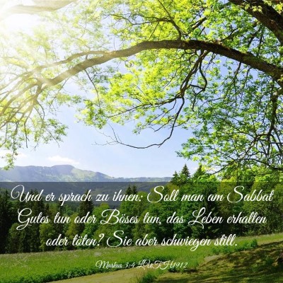 Picture 03 - Markus 3:4 LUTH1912 - Und er sprach zu ihnen: Soll man am Sabbat Gutes - Bible Verse Picture