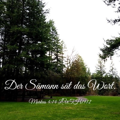 Picture 03 - Markus 4:14 LUTH1912 - Der Sämann sät das - Bible Verse Picture