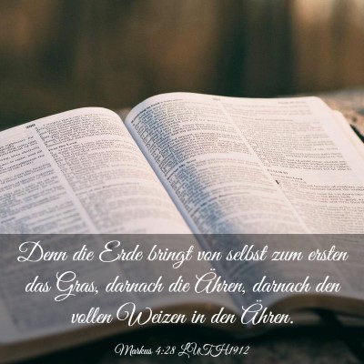 Picture 03 - Markus 4:28 LUTH1912 - Denn die Erde bringt von selbst zum ersten das - Bible Verse Picture