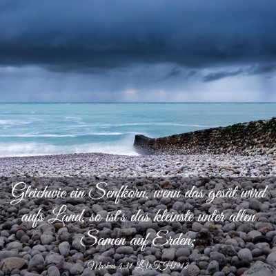 Picture 03 - Markus 4:31 LUTH1912 - Gleichwie ein Senfkorn, wenn das gesät wird aufs - Bible Verse Picture