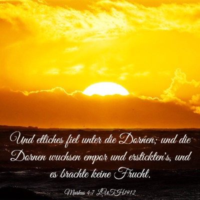 Picture 03 - Markus 4:7 LUTH1912 - Und etliches fiel unter die Dornen; und die - Bible Verse Picture